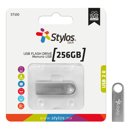 ST100 USB 256GB
