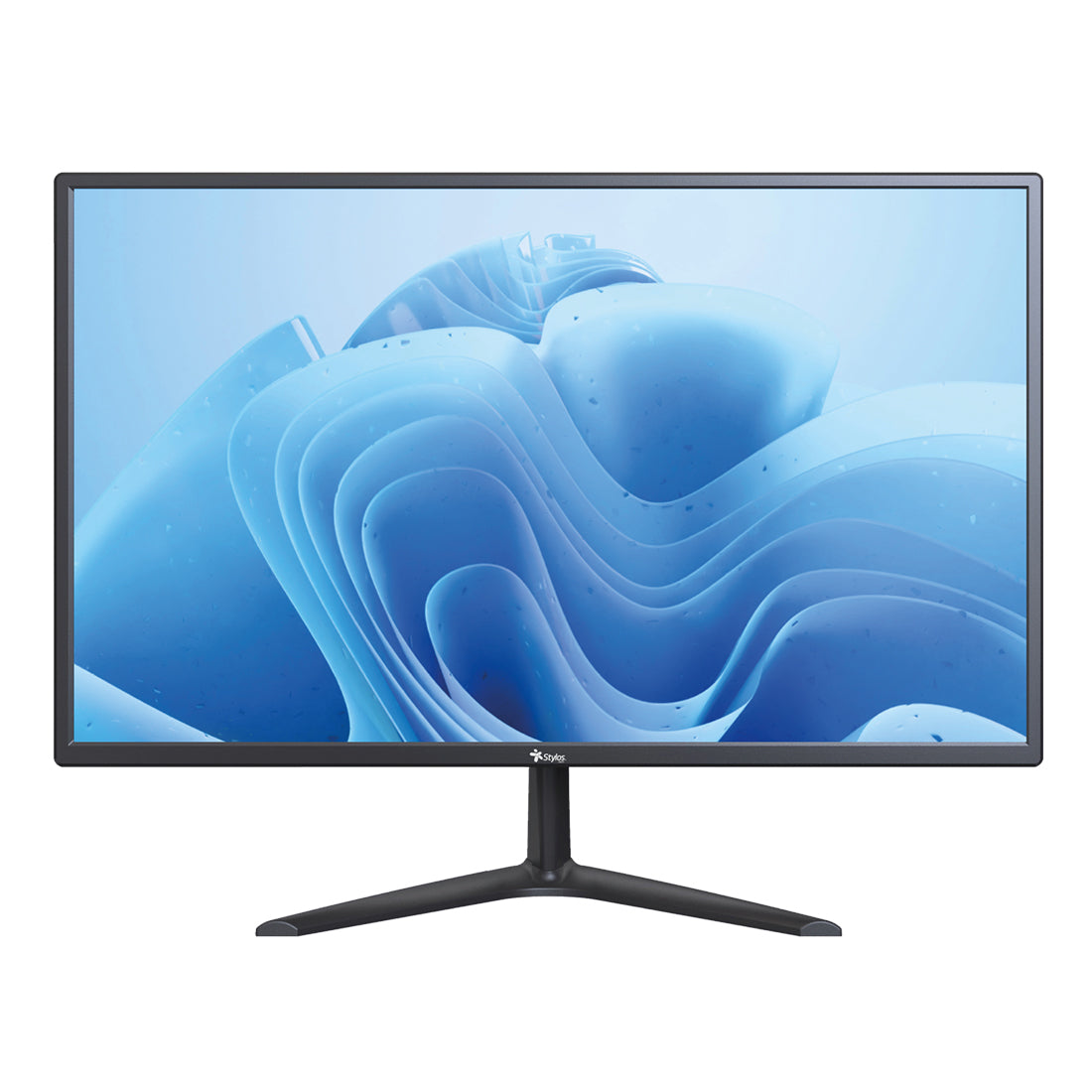 Monitor 19" LED HD