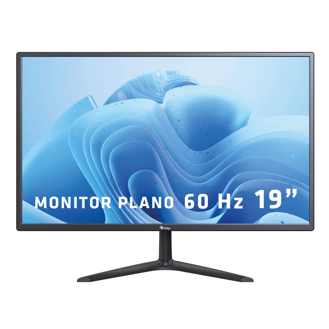 Monitor 19" LED HD
